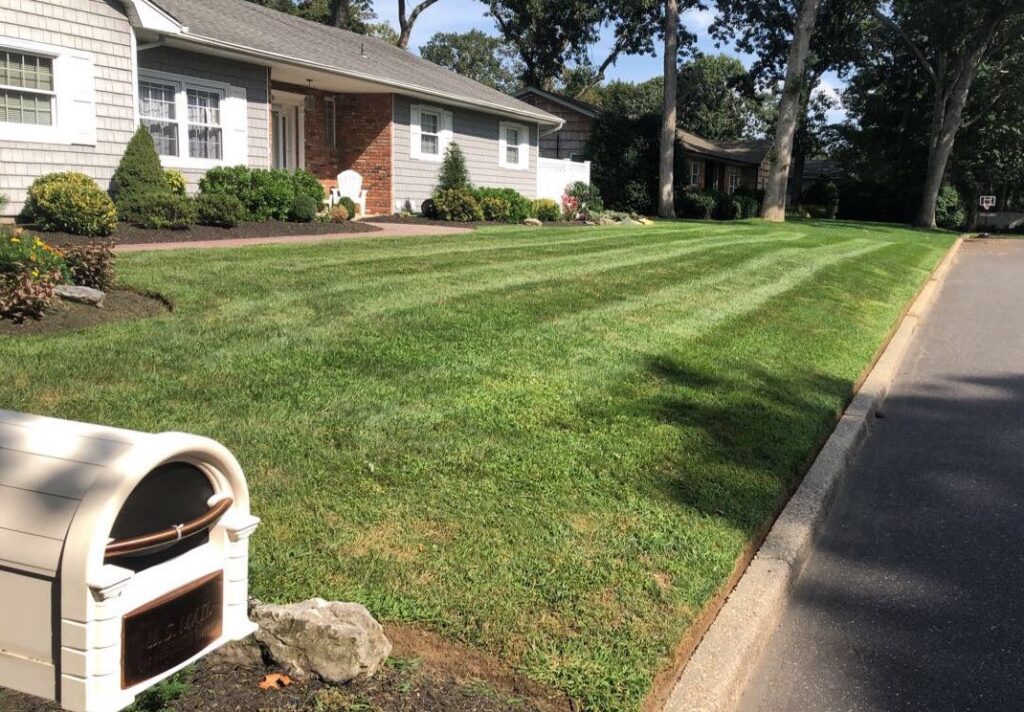 lawn installations and maintenance