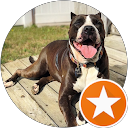 Kim Noelle profile picture